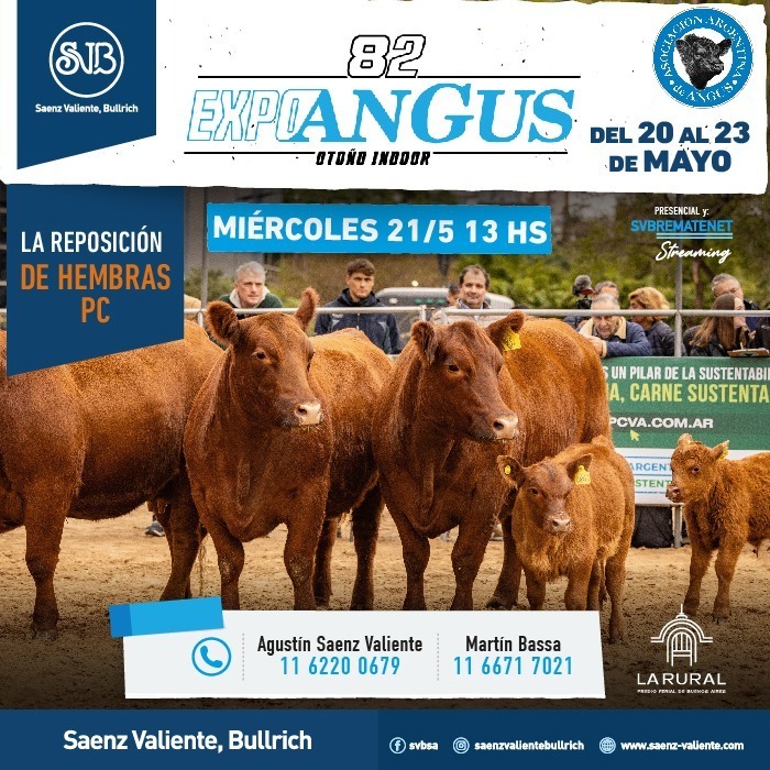 Imagen de Saenz Valiente, Bullrich y Cia. "Remate Hembras P.C. Expo Angus"